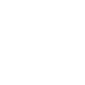 Adlegus_Logo_white